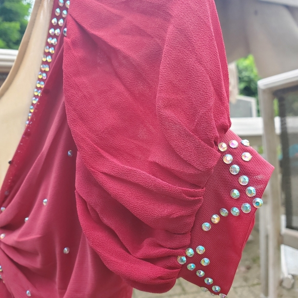 Red Ice Skating Dress - Picture 4 of 5